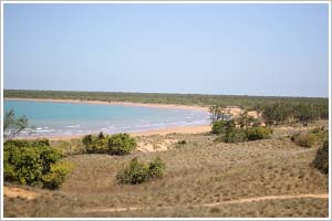 Blue Mud Bay